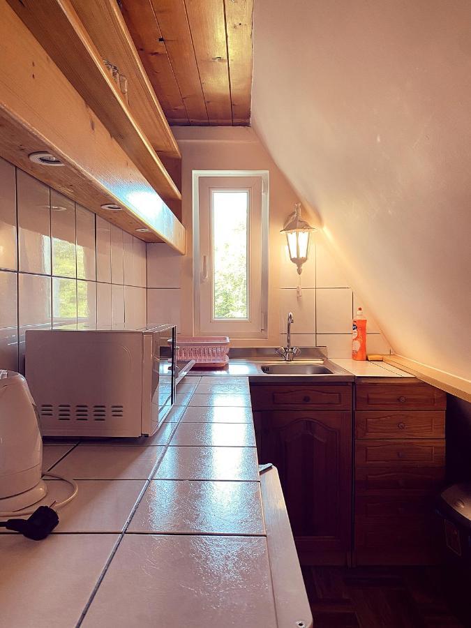 Villa Cecylia ザコパネ エクステリア 写真